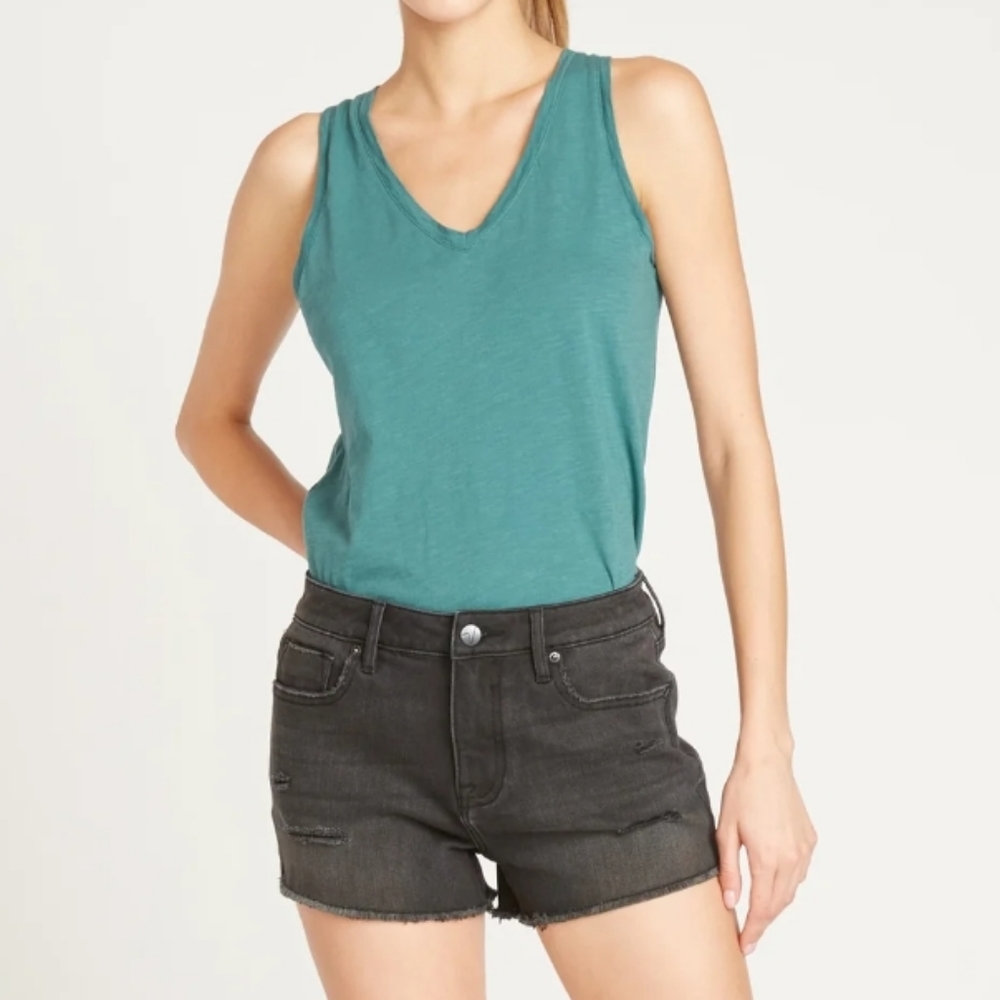 Vigoss Ace High-rise Denim Short in Black Size 16